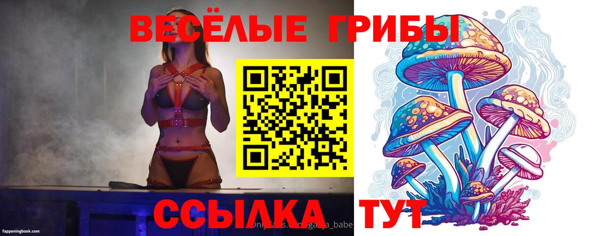 Галлюциногенные грибы Magic Shrooms  Вход с VPN  Дивногорск  Псилоцибиновые грибы мухоморы 